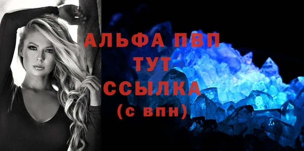 спайс Богданович