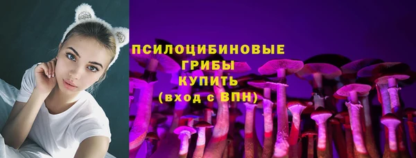 спайс Богданович