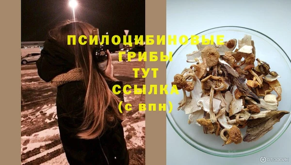 прущие крисы Богородск