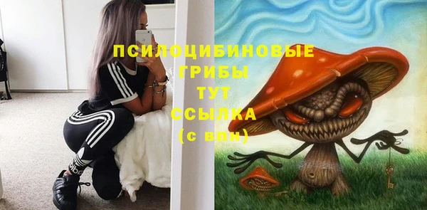 прущие крисы Богородск