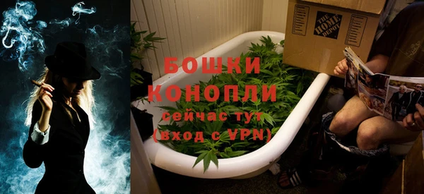спайс Богданович
