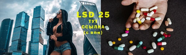 спайс Богданович